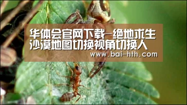 华体会官网下载