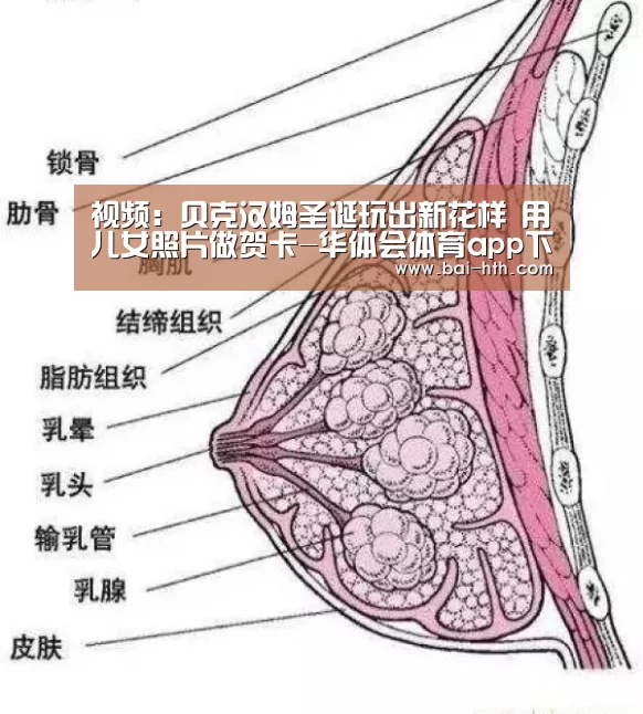 视频:贝克汉姆圣诞玩出新花样 用儿女照片做贺卡-华体会体育app下载(图4) 华体会官方平台