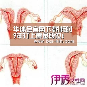 华体会官网下载|耗时9年打上黄金段位!网友发帖却被吐槽(图4) 华体会官方平台