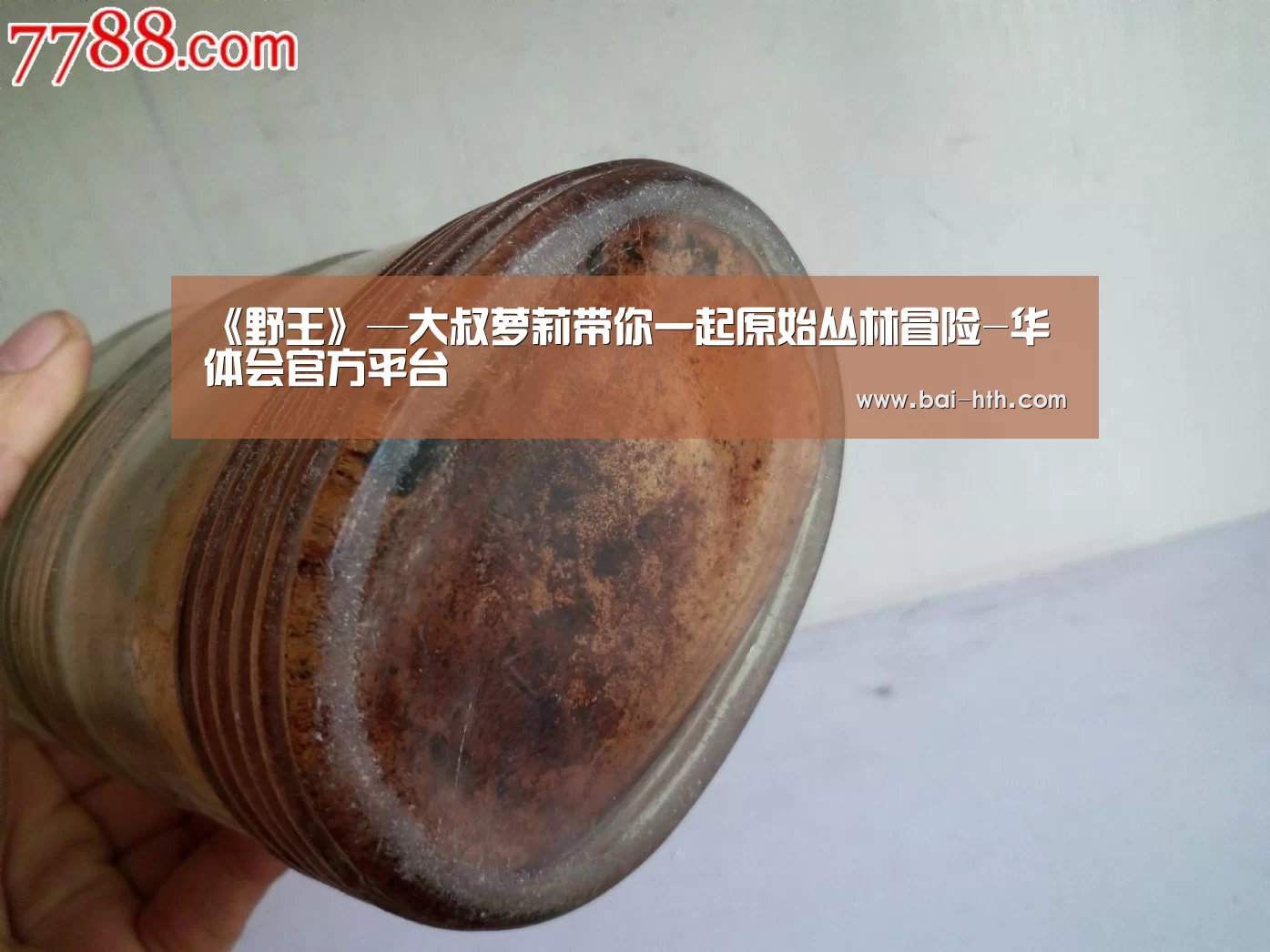 华体会官网下载
