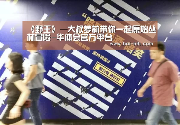 华体会官方网站入口
