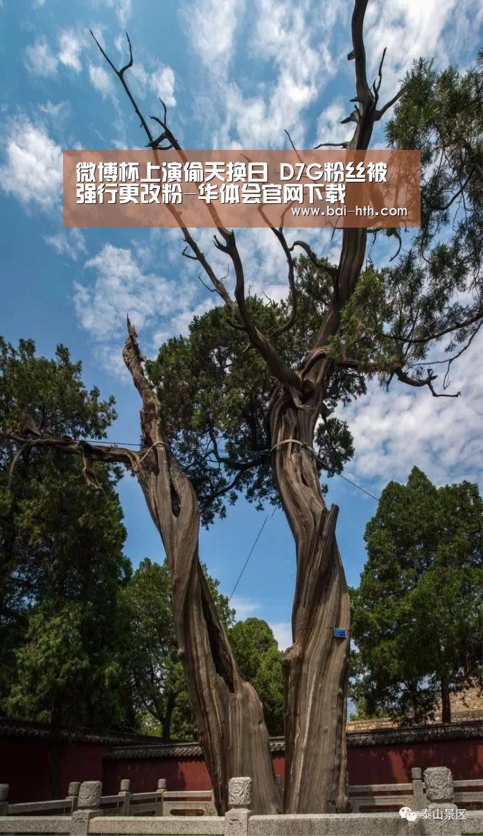 华体会官网下载