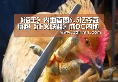 华体会官方网站入口