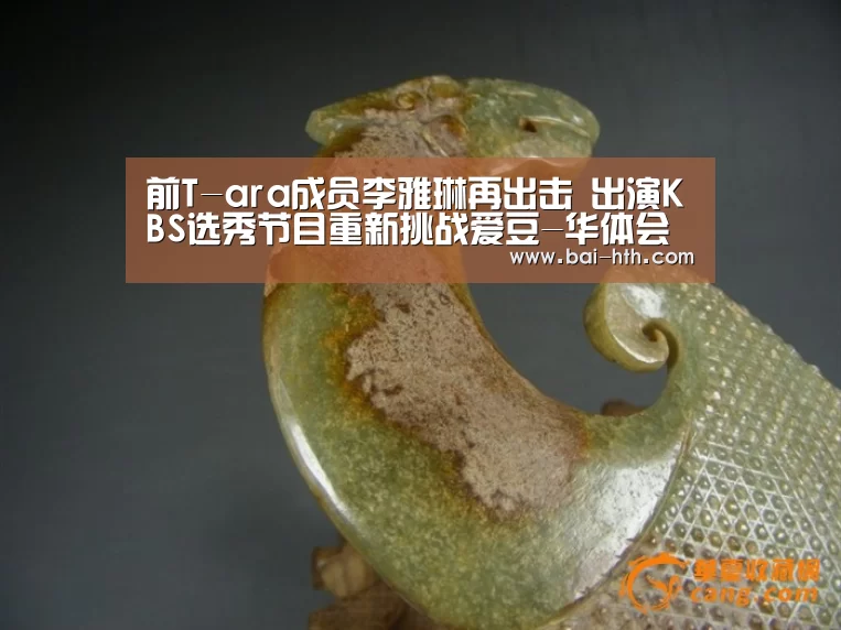 前T-ara成员李雅琳再出击 出演KBS选秀节目重新挑战爱豆-华体会官方平台(图2) 华体会官网下载