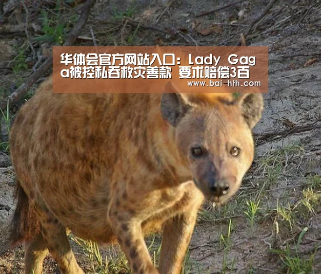 华体会官方网站入口:Lady Gaga被控私吞救灾善款 要求赔偿3百万英镑(图1) 华体会体育app下载